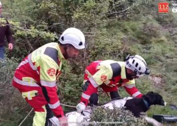 Rescatado un perro tras 20 días atrapado en una sima de 20 metros en San Sebastián de Garabandal