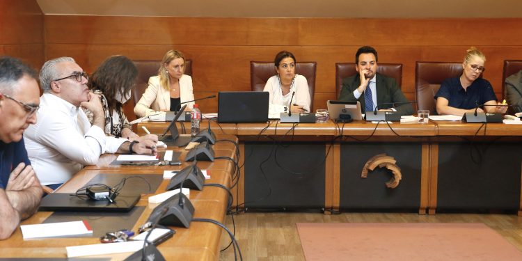 Cantabria presenta su Estrategia de Accesibilidad Universal 2025-2030 como base para una futura ley que elimine barreras y garantice derechos