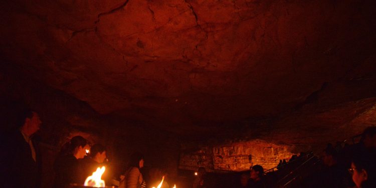 El Museo de Altamira celebra la Noche Europea de los Museos con una visita nocturna a la Neocueva