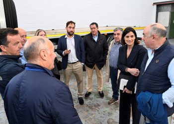 Santander adjudica a la UTE Pavimentos Santander el nuevo contrato para conservar y renovar los firmes de la ciudad por 3 millones anuales