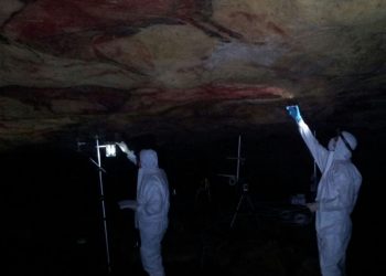 El Museo presenta la Monografía nº30 sobre los consorcios microbianos en la cueva de Altamira