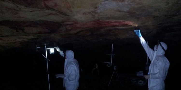 El Museo presenta la Monografía nº30 sobre los consorcios microbianos en la cueva de Altamira