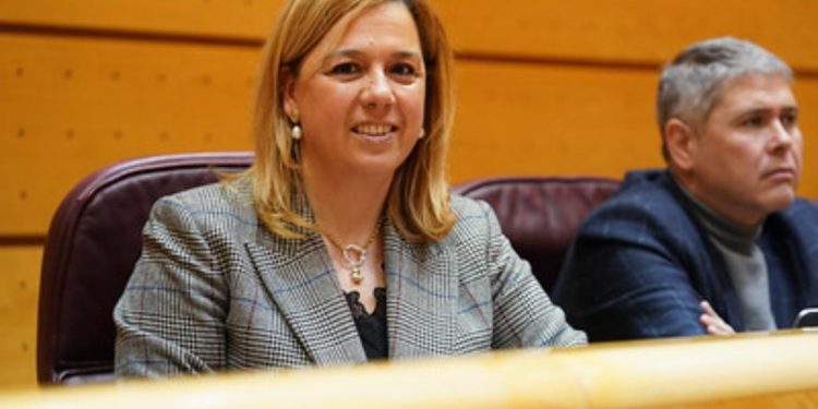 El PP exige al Gobierno medidas urgentes para recuperar el alumnado perdido en la UIMP