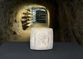 Platos irresistibles con queso gourmet: Recetas para sorprender