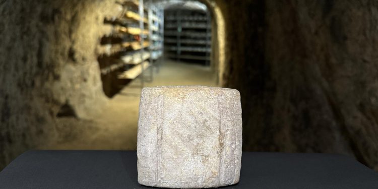 Platos irresistibles con queso gourmet: Recetas para sorprender