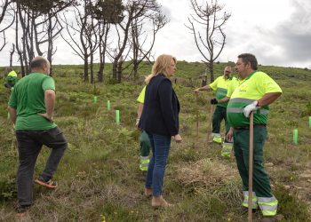 Cantabria celebra el Día Europeo de la Red Natura 2000 destacando el avance del proyecto LIFE Coop Cortaderia