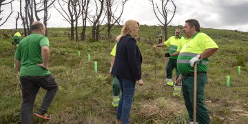 Cantabria celebra el Día Europeo de la Red Natura 2000 destacando el avance del proyecto LIFE Coop Cortaderia