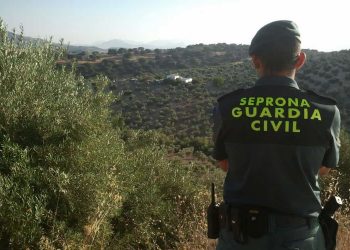 El Seprona investiga un posible caso de maltrato animal en Castañeda tras viralizarse un vídeo