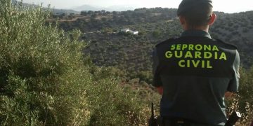 El Seprona investiga un posible caso de maltrato animal en Castañeda tras viralizarse un vídeo