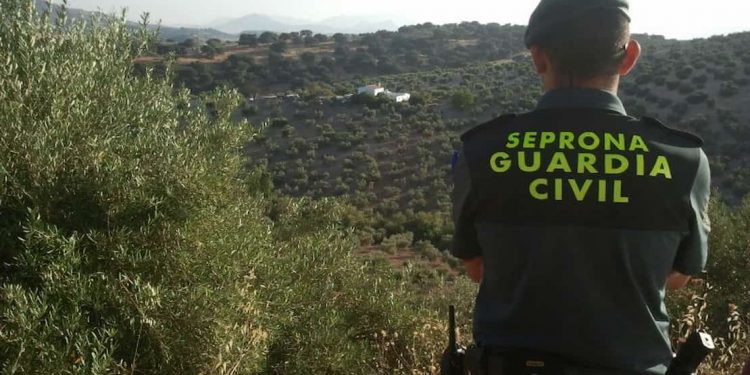 El Seprona investiga un posible caso de maltrato animal en Castañeda tras viralizarse un vídeo