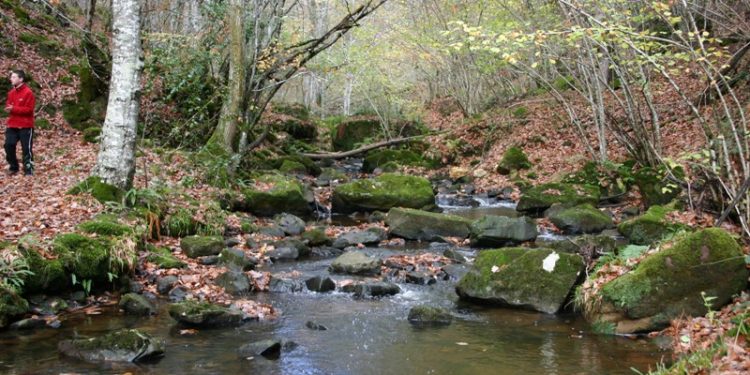 El PSOE acusa al alcalde de Valderredible de frenar el plan de protección del Monte Hijedo mientras defiende su impulso en público