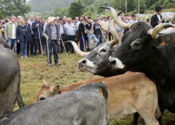 Cantabria abonará más de 5 millones de euros a 4.385 beneficiarios en el pago final de ecorregímenes y ayudas a la producción de proteínas