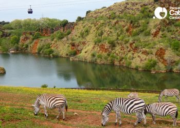 El tobogán de Cabárceno medirá más de 1 kilómetro y superará los 40km/hora