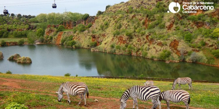 El tobogán de Cabárceno medirá más de 1 kilómetro y superará los 40km/hora