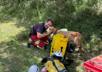 Bomberos rescatan a un perro atrapado en un barranco de Valderredible y a un hombre con su mascota en Vega de Pas
