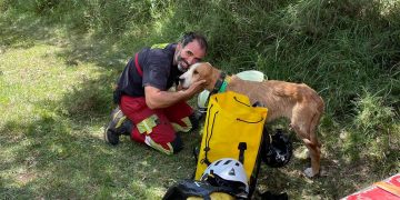 Bomberos rescatan a un perro atrapado en un barranco de Valderredible y a un hombre con su mascota en Vega de Pas