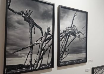 El Ayuntamiento de Santander incorpora cuatro nuevas obras al MAS adquiridas en ArteSantander 2025