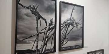 El Ayuntamiento de Santander incorpora cuatro nuevas obras al MAS adquiridas en ArteSantander 2025