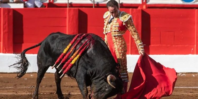 Cantabristas carga contra las ayudas del Gobierno a la tauromaquia y denuncia vínculos empresariales con el PP