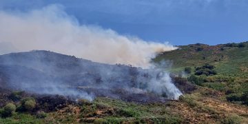 Cantabria envía apoyo a Zamora para combatir los incendios forestales