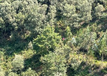 Rescatan a un senderista de 70 años desorientado en Soba
