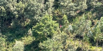 Rescatan a un senderista de 70 años desorientado en Soba