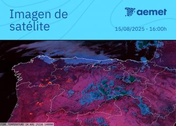 Se declara un incendio en el nordeste leonés, próximo al Puerto de San Glorio