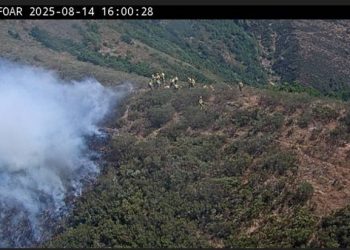 Reabierta la N-621 entre León y Cantabria tras el corte por el incendio en el Puerto de San Glorio