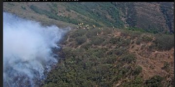 Reabierta la N-621 entre León y Cantabria tras el corte por el incendio en el Puerto de San Glorio