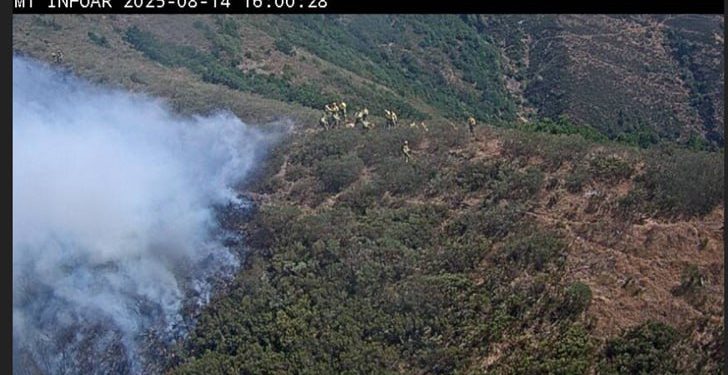 Reabierta la N-621 entre León y Cantabria tras el corte por el incendio en el Puerto de San Glorio