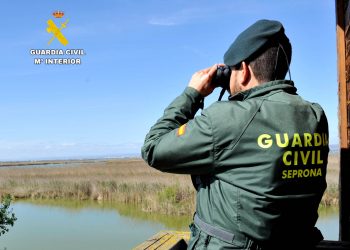 El SEPRONA investiga a dos personas en Cantabria por destruir nidos de aves protegidas en Suances y Vega de Pas