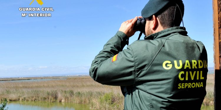 El SEPRONA investiga a dos personas en Cantabria por destruir nidos de aves protegidas en Suances y Vega de Pas