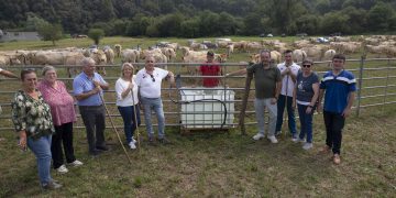El Llano de Penagos reúne a más de 1.200 animales en su feria ganadera