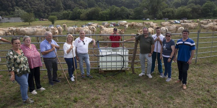 El Llano de Penagos reúne a más de 1.200 animales en su feria ganadera