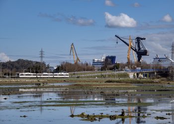 Gobierno de Cantabria somete a audiencia pública la declaración de ANEI para las Marismas de Astillero