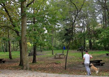Torrelavega, Cartes y el Gobierno de Cantabria unen esfuerzos para gestionar La Viesca como Área Natural de Especial Interés