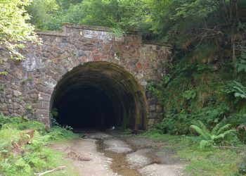 PSOE impulsa en el Senado la gestión compartida del túnel de La Engaña como motor de progreso para Cantabria y Castilla y León
