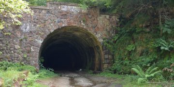 PSOE impulsa en el Senado la gestión compartida del túnel de La Engaña como motor de progreso para Cantabria y Castilla y León