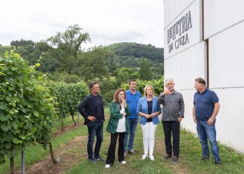 Susinos defiende el futuro “prometedor” del vino cántabro y avanza en la regulación de la nueva Agrupación de Productores