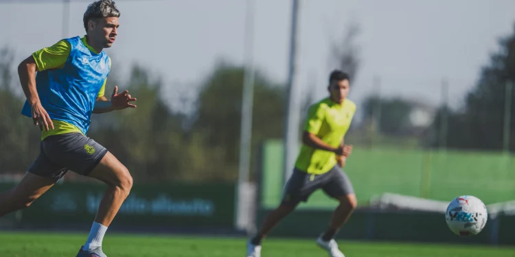 Arana y Puerta regresan a los entrenamientos del Racing antes de recibir al Málaga