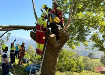 Rescatan a un hombre herido en la pierna tras caerle una rama mientras talaba un árbol en Ruesga