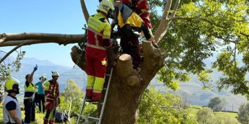 Rescatan a un hombre herido en la pierna tras caerle una rama mientras talaba un árbol en Ruesga