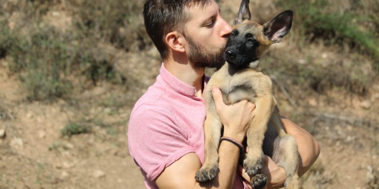 Comando Can, la marca de educación canina que conquista las redes bajo el lema del respeto y la seguridad
