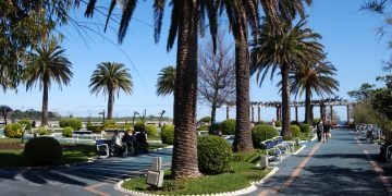 Santander amplía hasta marzo el plazo de las obras de renovación de los Jardines de Piquío por motivos técnicos y biológicos