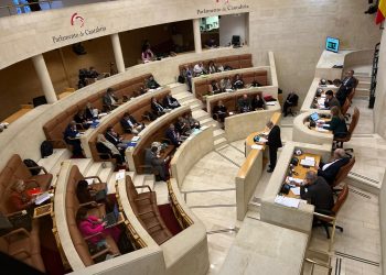 El Parlamento pide al Gobierno cántabro implicarse activamente en la mejora laboral del sector de la dependencia