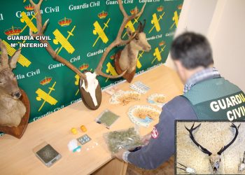 Detenidas tres personas en Liébana por tráfico de drogas y dos de ellas también por caza furtiva