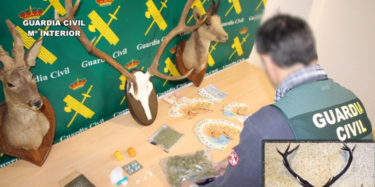 Detenidas tres personas en Liébana por tráfico de drogas y dos de ellas también por caza furtiva