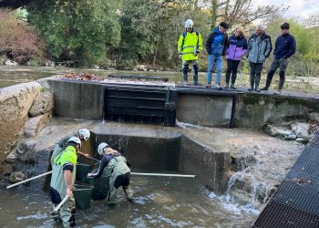 Cantabria abre el sorteo para los permisos de pesca de salmón en 2026 con cuotas reducidas