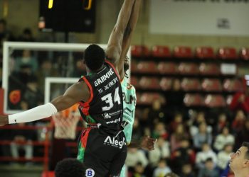 El Grupo Alega se atasca ante el colista y cede en casa frente al Palmer Basket