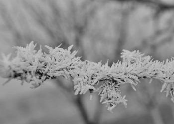 El 112 pide extremar la precaución ante el aviso naranja por nieve en el centro de Cantabria y el Valle de Villaverde